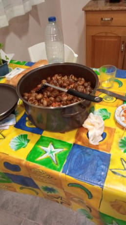 Hoy para comer acelgas hervidas y chuletón de vaca gallega vieja con seis semanas de maduración en cámara 21