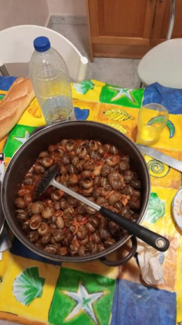 Hoy para comer acelgas hervidas y chuletón de vaca gallega vieja con seis semanas de maduración en cámara 20