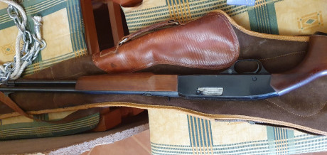 Vendo winchester 290 22lr con rosca.
Precio-150€. 72