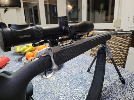Vendo equipo completo compuesto de:

SAKO CARBONLIGHT en calibre 308 WIN, tiene 6 meses, estado IMPECABLE, 20