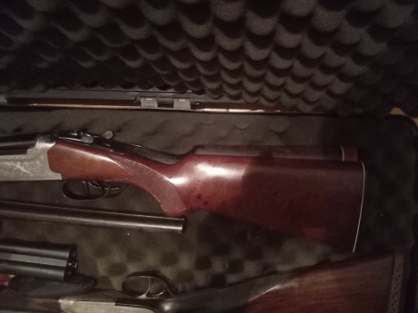 Soy bastante novato en escopetas. Llevo federado en tiro 25 años tirando con arma corta, y aunque siempre 50