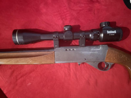 Desmontable BIEN CUIDADA! Semiautomática Calibre 22 con visor incluido Bushnell 3-9x40E. Cargador de 10 02