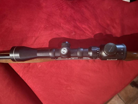 Desmontable BIEN CUIDADA! Semiautomática Calibre 22 con visor incluido Bushnell 3-9x40E. Cargador de 10 00