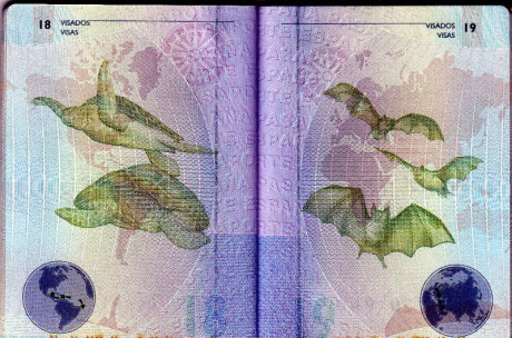  EN RECUERDO Y HOMENAJE A LOS QUE YA NO ESTÁN. 

Si pones en  GOOGLE    PASAPORTES EN LA MEMORIA   da 72
