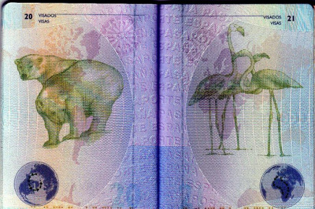  EN RECUERDO Y HOMENAJE A LOS QUE YA NO ESTÁN. 

Si pones en  GOOGLE    PASAPORTES EN LA MEMORIA   da 80