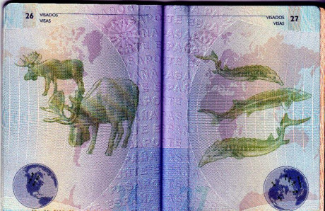  EN RECUERDO Y HOMENAJE A LOS QUE YA NO ESTÁN. 

Si pones en  GOOGLE    PASAPORTES EN LA MEMORIA   da 90