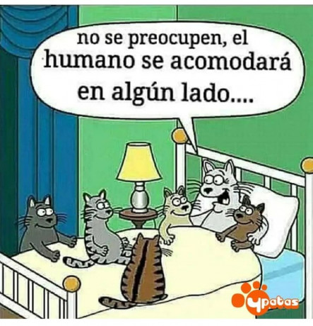  https://www.lavozdegalicia.es/noticia/sociedad/2021/12/02/mascotas-ley-familia/00031638449643526339125.htm#:~:text=Las%20mascotas%20son%20ya%2C%20legalmente,o%20al%20resolver%20una%20herencia. 70