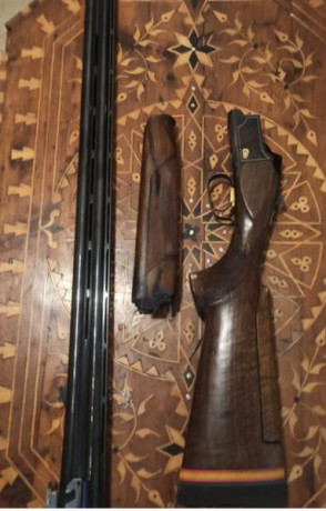 Vendo esta maquina de escopeta. Browning gti sporting.
75 cms con briley serie 1 ported en ambos cañones.
Recamaras 11