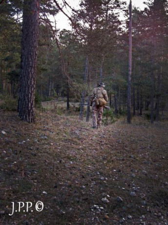  Amigos, viendo que hay interés general en la práctica de la caza con armas de avancarga, abrimos este 22