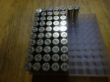 Vendido el lote de 95 vainas del calibre .308W, se puede cerrar gracias.

52 Vainas Cineshot by RWS y 01