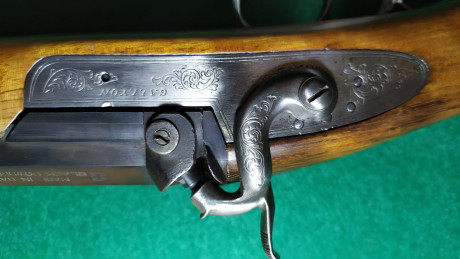 Un amigo vende una escopeta de avancarga modelo callyon fue campeona de Europa 
El arma está en Lleida
Pide 02