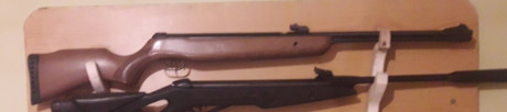 Buenas a todos Señores, tengo un problema con mi Gamo Big Cat CF del 5.5mm el problema es que hace un 01