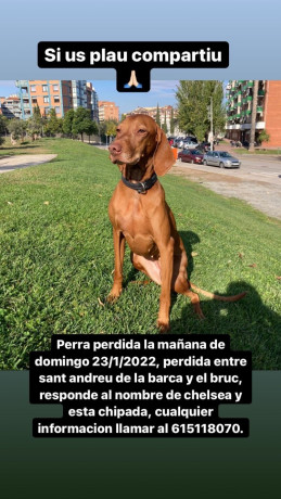 Por favor, Compartid. Gracias. 00