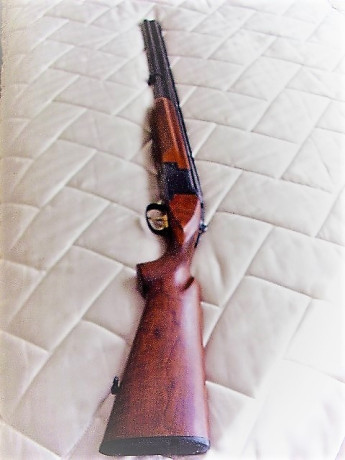 Hola a todos:

Vendo esta escopeta superpuesta marca Laurona que esta nueva.
Doble gatillo, cañones de 12