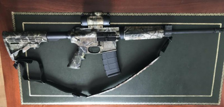 Vendo Smith & Wesson MP15 (con muy poco uso).

- Calibre: .300 Blackout (7,62 x 35 mm)
- Cañón de 02