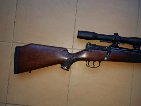 Vendo Mauser 66 calibre 6,5x68 con bases/monturas Shuler y visor Smith Bender 1,3/4 - 6x .
Salu2. 12