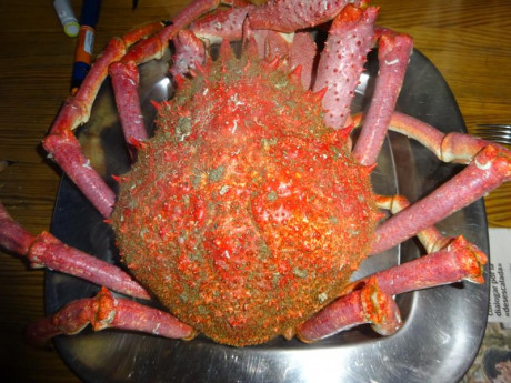 Hoy para comer acelgas hervidas y chuletón de vaca gallega vieja con seis semanas de maduración en cámara 131