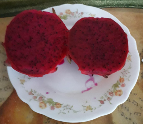 Hoy para comer acelgas hervidas y chuletón de vaca gallega vieja con seis semanas de maduración en cámara 161