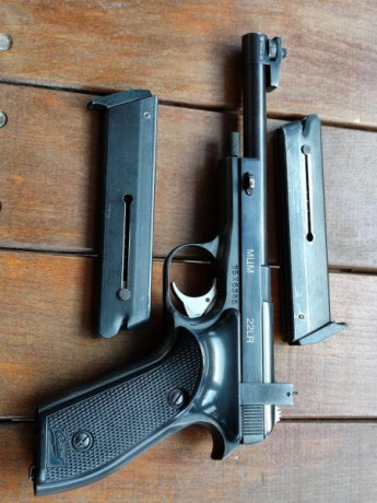 Vendo Baikal Margolin en muy buen estado.

El arma está en Madrid.

Guiada en F

190 € 10