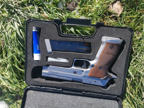 Vendo dos cargadores para la Sig Sauer P226 de la marca Mec-Gar, totalmente nuevos. Uno de ellos lo abrí 140