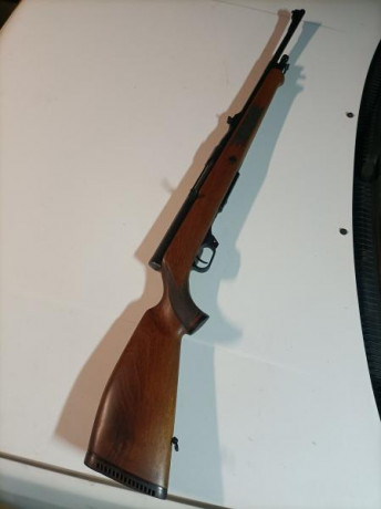Quiero hacer un listado de rifles semiautomaticos de aquellos que cuando era niño era lo que se veia a 61