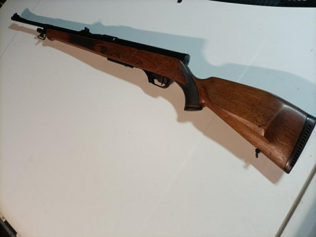 Quiero hacer un listado de rifles semiautomaticos de aquellos que cuando era niño era lo que se veia a 60