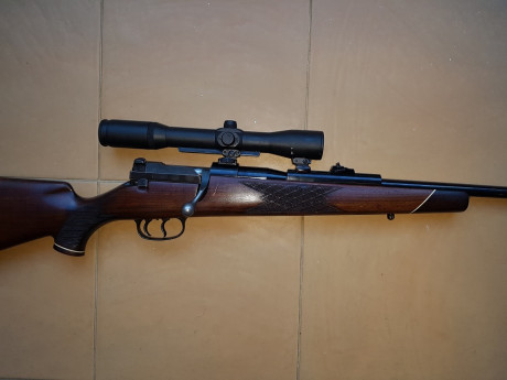 Vendo Mauser 66 calibre 6,5x68 con bases/monturas Shuler y visor Smith Bender 1,3/4 - 6x .
Salu2. 20