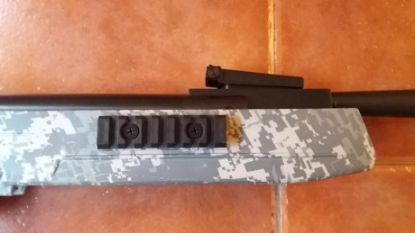 Pongo a la venta carabina de aire con pistón de gas GRS, calibre 5,5 mm, marca NORICA modelo Dead Eye, 01
