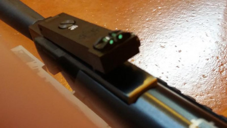 Pongo a la venta carabina de aire con pistón de gas GRS, calibre 5,5 mm, marca NORICA modelo Dead Eye, 21