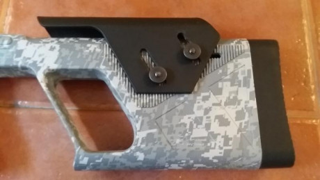 Pongo a la venta carabina de aire con pistón de gas GRS, calibre 5,5 mm, marca NORICA modelo Dead Eye, 31