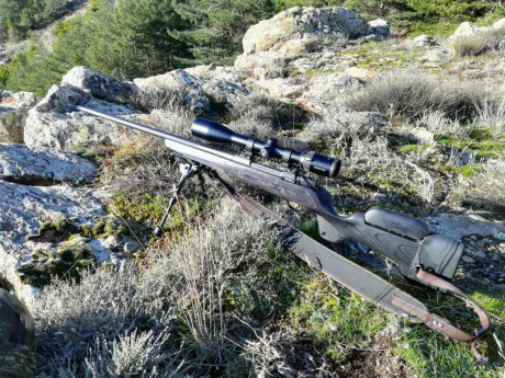 Buenos días, como el hombre propone y Dios dispone, me tengo que deshacer de uno de mis mejores rifles. 11