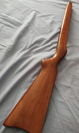 Hola compañeros. Vendo culata ruger 10/22 en buenísimo estado. Precio ahora 75€ ahora 60€ puesta en casa 00