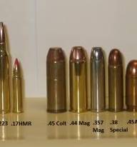 He guiado un palanquero del 357 Mg, y en la guia unicamente pone este calibre, no el 38 Sp. Casi me ponen 80