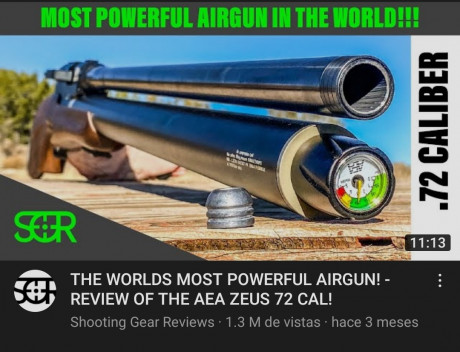 Hola muy buenas, pues quería saber la opinión sobre esta carabina, la Hatsan 135 con el calibre 7.62mm,de 40