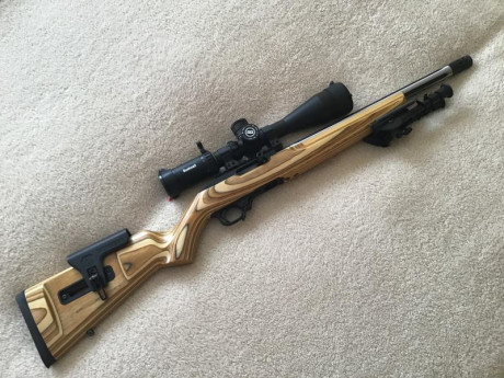Buenos días.
Os presento la última creación de la Ruger Custom Shop: la Ruger 10/22 Competition.
Hace 02