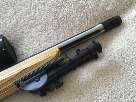 Buenos días.
Os presento la última creación de la Ruger Custom Shop: la Ruger 10/22 Competition.
Hace 12