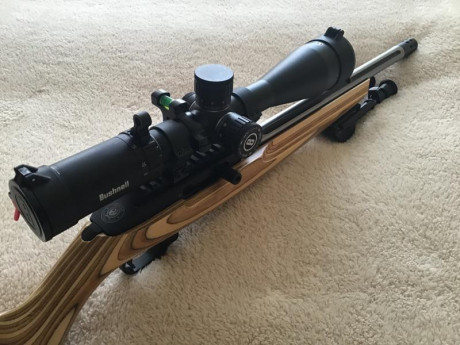 Buenos días.
Os presento la última creación de la Ruger Custom Shop: la Ruger 10/22 Competition.
Hace 11