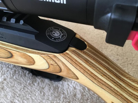 Buenos días.
Os presento la última creación de la Ruger Custom Shop: la Ruger 10/22 Competition.
Hace 10