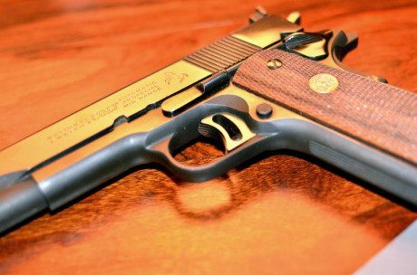 hola pongo a la venta mi COLT 1911 Gold Cup National Match MID RANGE del calibre 38 WC, que es la pistola 20