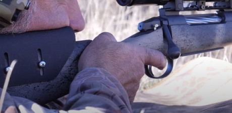 Hola a todos.

He visto por internet que hay gente que tiene esto es sus rifles. Sabéis si tiene nombre 00