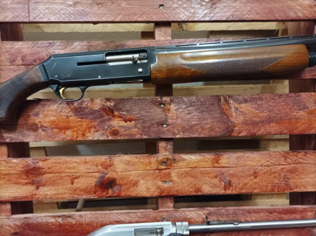 Vendo Browning Gold calibre 12 cañón de 71 cm y en excelente estado de maderas y pavón, 3 choques invector 00