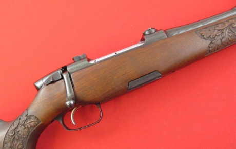Un amigo ha conseguido un rifle Remington semiautomático en una subasta con estas bases ya montadas y 10