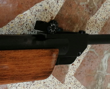 Hola tengo una carabina del 4.5 marca gamo de aprox 25 años o algo mas. Es muy masiva de madera, con estrias 41