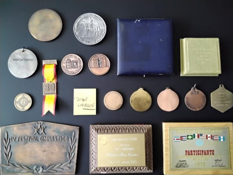 Lote medallas Federación Española de Tiro Olímpico

Lote compuesto de 18 objetos (3 placas y 15 medallas) 01
