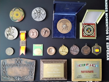 Lote medallas Federación Española de Tiro Olímpico

Lote compuesto de 18 objetos (3 placas y 15 medallas) 00