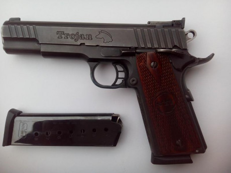VENDIDA,  RETIRAR ANUNCIO GRACIAS
Calibre 45 ACP
Monohilera
Miras ajustables

2 cargadores de 8 cartuchos 10