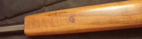 Vendo CZ 452 varmint (de cañón pesado) del 22LR 21