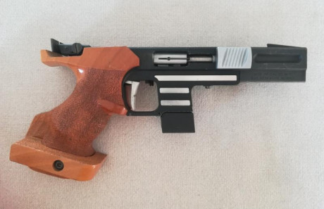  Hola.
Se vende  Pardini 32 , en perfecto estado de funcionamiento, un cargador , estuche original.
La 11