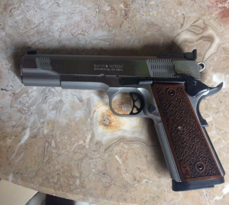 Se vende pistola S&W 1911 PC cal. 45, dos cargadores y maletín de transporte original. 
Precio 1200 02