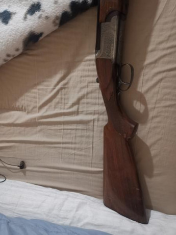 Vendo 3 escopetas, 1 paralela ugartechea 1 superpuesta franchi y una semiautomática franchi, la semiautomática 02